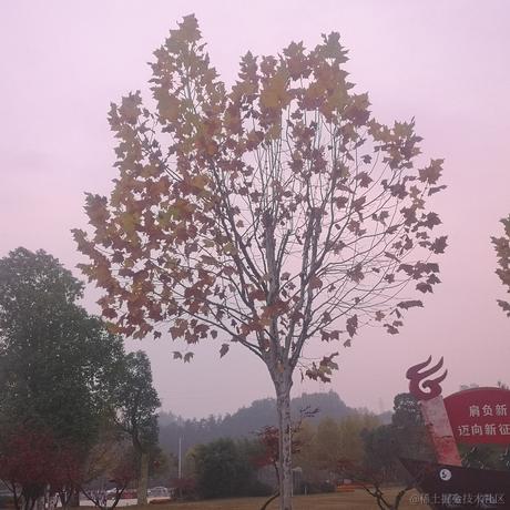 可爱小晚比于2022-11-20 23:40发布的图片