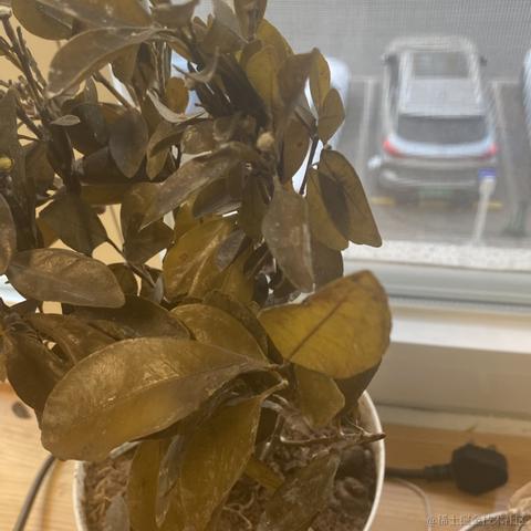 北洋于2023-02-02 09:24发布的图片