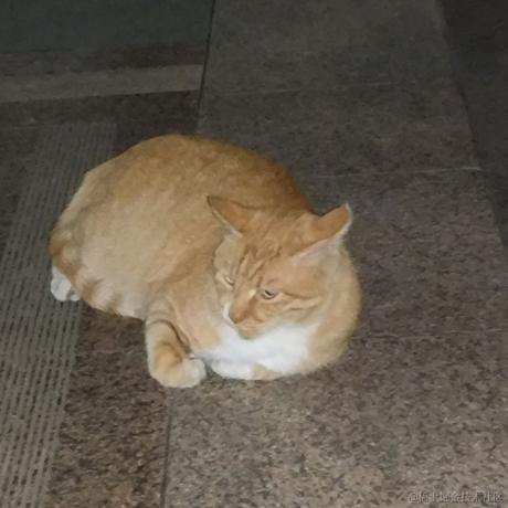 lttstorecom于2022-11-13 15:58发布的图片