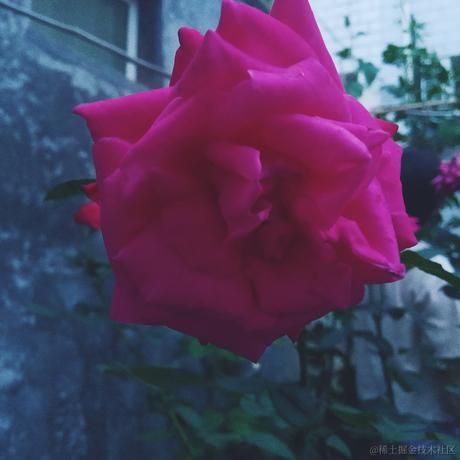 晚里只有鱼于2023-06-20 20:27发布的图片