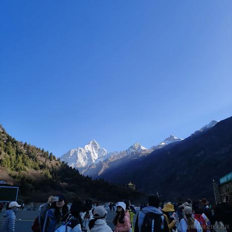 快乐的小菜鸟118于2023-05-04 22:14发布的图片