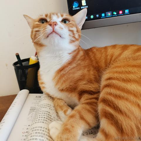 忌浮躁于2022-09-25 00:22发布的图片