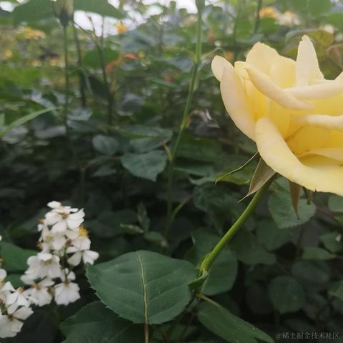 DL_V于2023-04-19 23:26发布的图片
