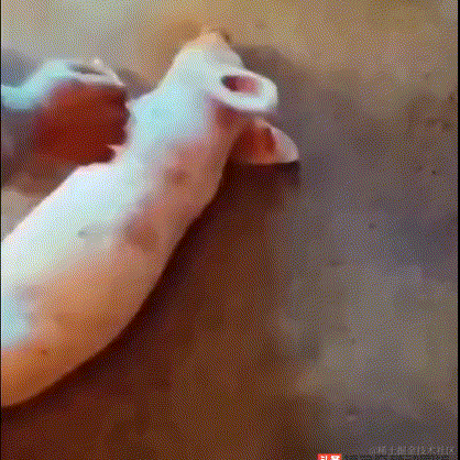 flybyte于2021-02-19 16:12发布的图片