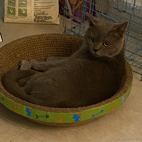 梅长酥于2021-07-05 10:20发布的图片