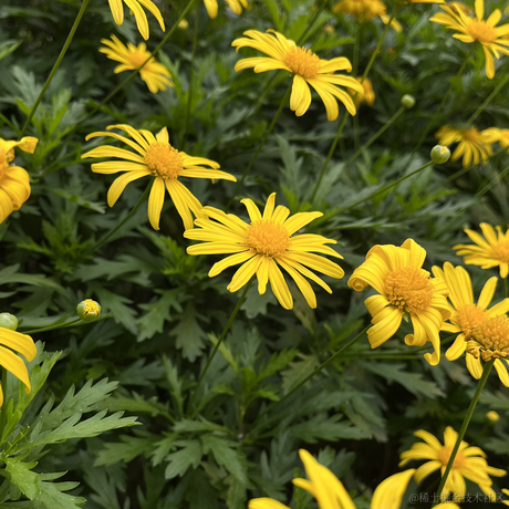 wsq于2023-04-14 19:46发布的图片