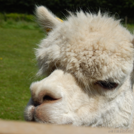 白影于2022-11-13 11:20发布的图片