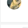 JavaLyHn于2023-02-13 17:40发布的图片