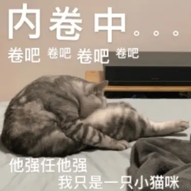 掘金色批头子于2022-06-13 16:52发布的图片