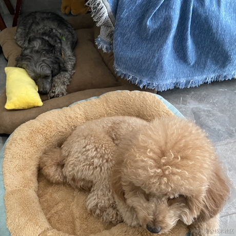 一木1于2022-11-20 13:56发布的图片