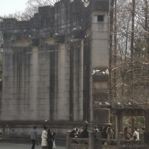 干饭阿澄于2023-04-12 16:37发布的图片