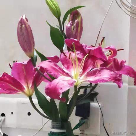 小白踩坑于2022-02-20 22:45发布的图片