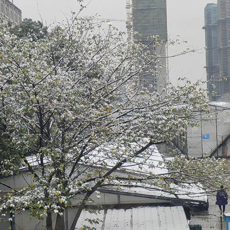 未名酱于2022-12-01 10:24发布的图片