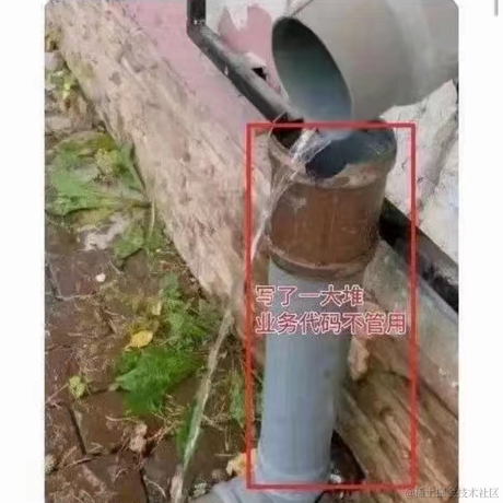 红烧毛豆于2023-06-14 11:33发布的图片