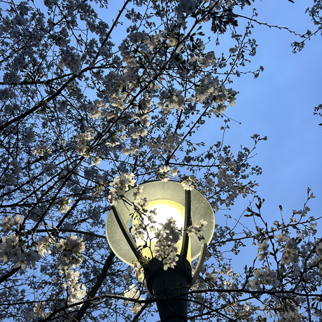 user670614617357于2023-03-24 10:41发布的图片