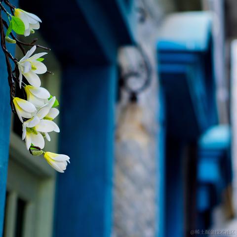 肯戳加勾于2022-10-06 03:35发布的图片