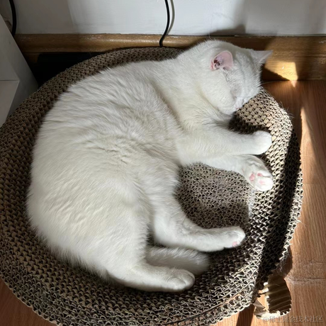 slash1024于2023-06-02 09:46发布的图片