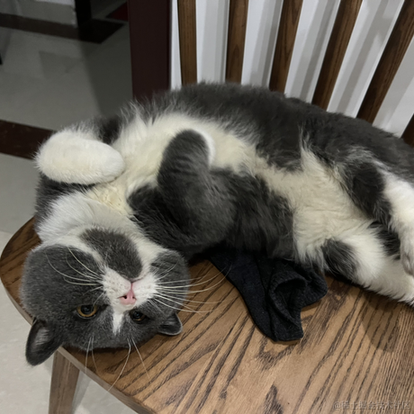 王族蓋于2022-11-12 10:44发布的图片