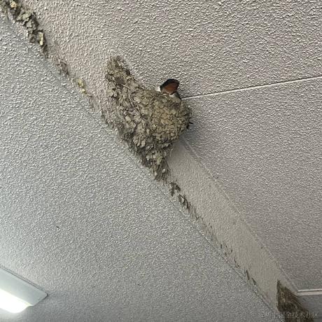 SpongeNoob于2022-06-12 05:34发布的图片