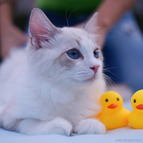 Wei于2022-11-01 23:29发布的图片