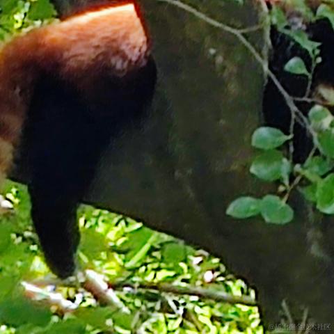 酉星于2022-06-26 16:00发布的图片