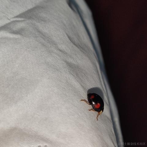 天光向晚云徘徊于2022-11-17 22:07发布的图片