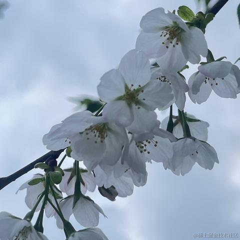 无糖气泡水于2023-03-15 07:53发布的图片