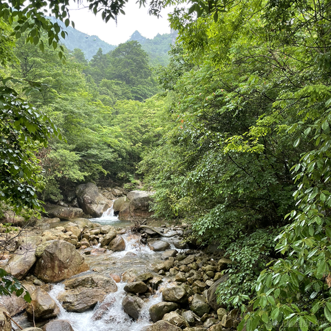 Ylimhs于2023-05-29 08:36发布的图片