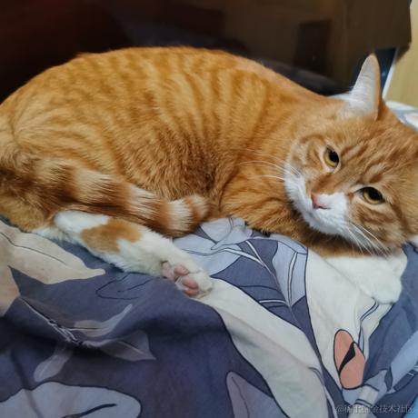 柒弎于2022-11-15 12:48发布的图片