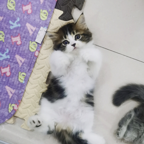 破败于2021-08-13 09:57发布的图片