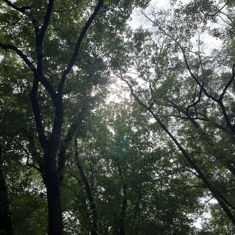 澄九明于2023-06-23 10:19发布的图片