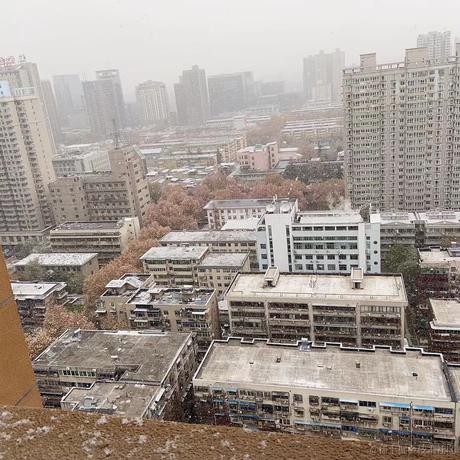 南巷羽于2022-11-30 23:32发布的图片