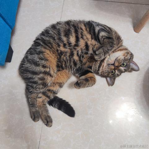 寒霜于2023-05-19 10:05发布的图片