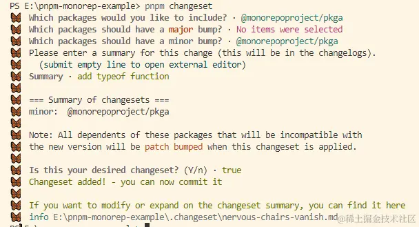 pnpm-minor.png