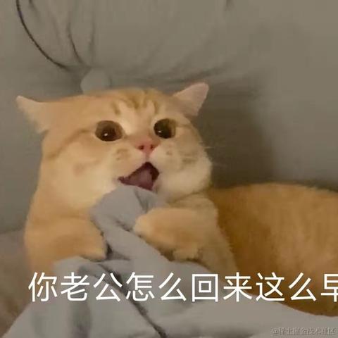 于五五于2021-12-14 14:30发布的图片