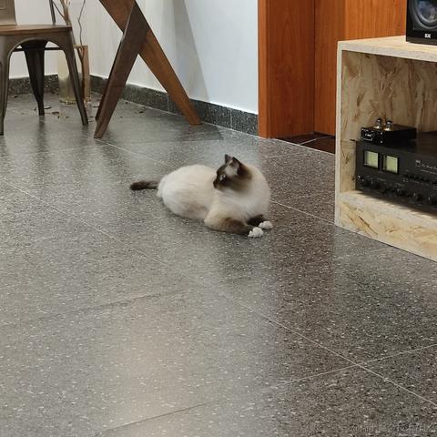 JulyYu于2022-06-25 17:48发布的图片