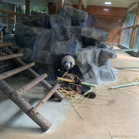 切图_仔于2022-10-05 21:46发布的图片