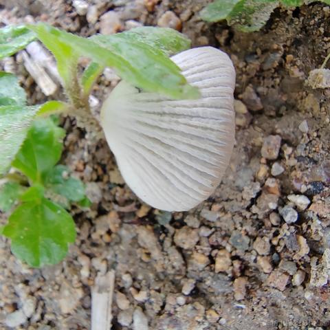 Uwiling于2022-11-21 15:46发布的图片