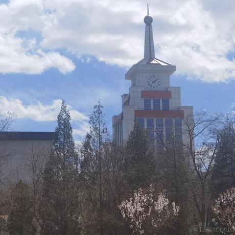 张鱼哥z于2023-04-17 23:51发布的图片