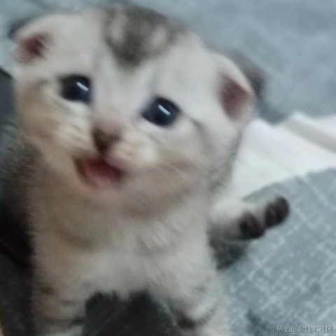 已注销于2021-09-14 13:41发布的图片