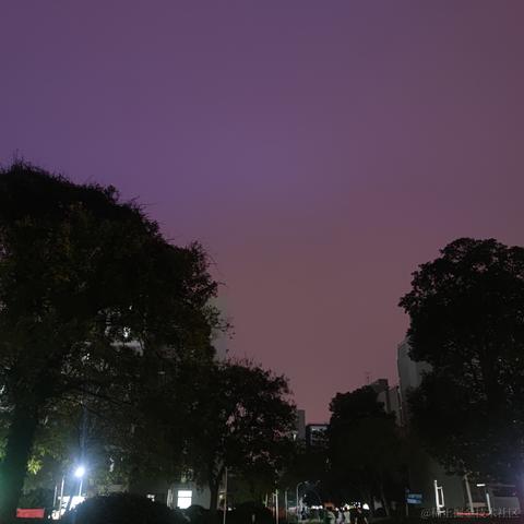 XKirsch于2022-11-13 20:07发布的图片