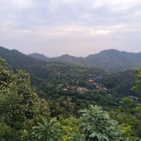 hncboy于2024-06-18 12:05发布的图片