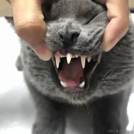 叨叨呀于2022-06-24 09:15发布的图片