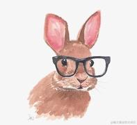 泡饭人mario的个人资料头像