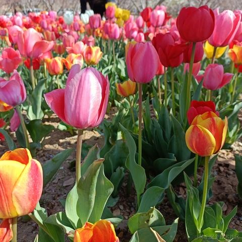 Grong于2023-04-19 19:51发布的图片