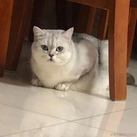 小虎涡于2021-09-30 08:53发布的图片