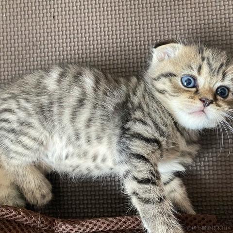 Livingbody于2021-10-31 11:05发布的图片