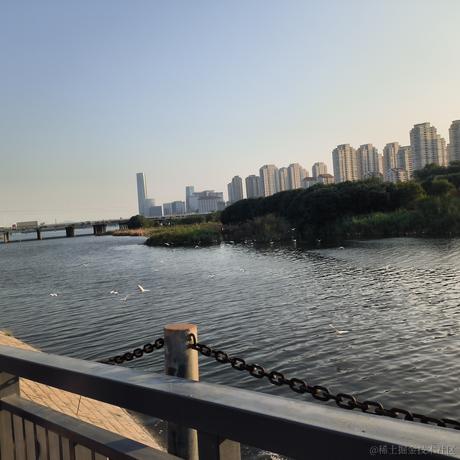 舞影天上于2022-11-19 16:08发布的图片