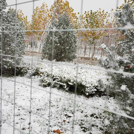 青蒜有你3于2022-11-29 16:01发布的图片