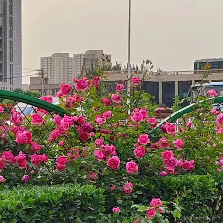 无趣的汽水于2023-05-26 14:40发布的图片